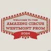 Brand new ⌛ Personalized Circus Sign ⭐ -Deals Decorations Store 13949011