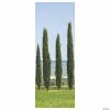 Deals β Ancient Greek Garden Cypress Scene Setter Background - 2 Pc. 𧨠1 Deals β Ancient Greek Garden Cypress Scene Setter Background - 2 Pc. 𧨠-Deals Decorations Store ancient greek garden cypress scene setter background 2 pc 13820556